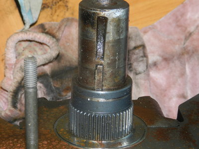 DSCN8386.JPG
