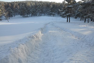 DSC_0167.JPG