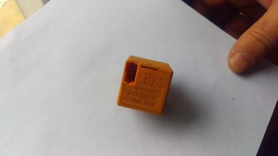 IMAG0505.jpg