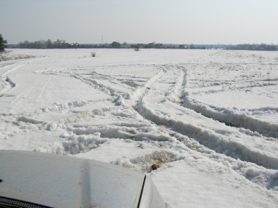 IMG_0174.JPG