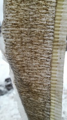 20160310122246.jpg
