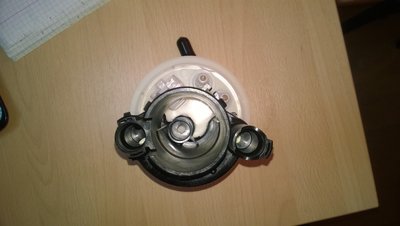 WP_20160311_001.jpg