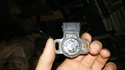 20160311_160142.jpg