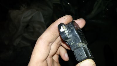 20160311_160212.jpg