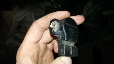 20160311_160222.jpg