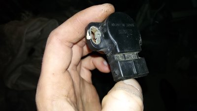 20160311_160232.jpg