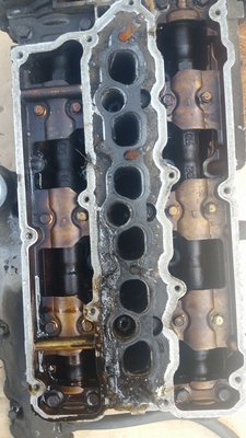 20160312_130630.jpg