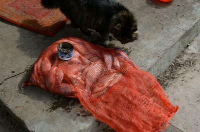 DSC_0005.jpg