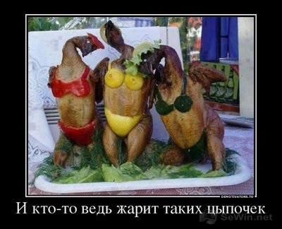 image.jpeg