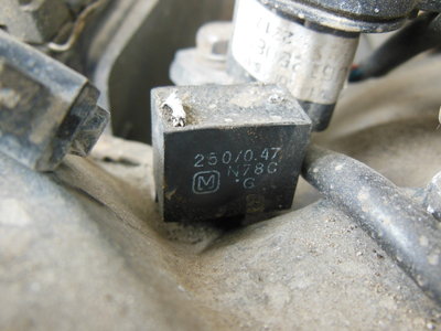 DSCN6082.JPG