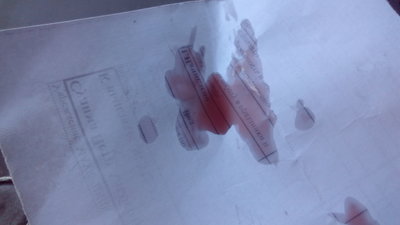 IMG_20160329_143648.jpg