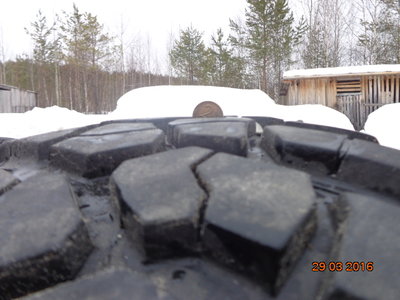 DSC06785.JPG