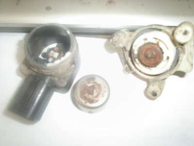 S5020211.JPG