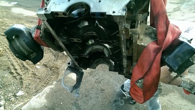 IMAG0198.jpg