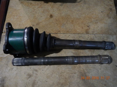 DSCN2338.JPG