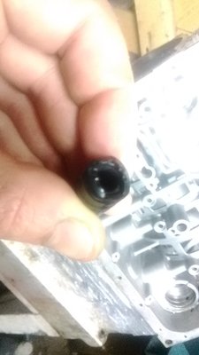 P_20160409_205518_HL.jpg