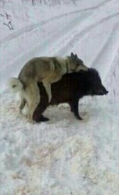 image.jpeg