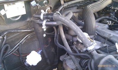 IMAG0720.jpg