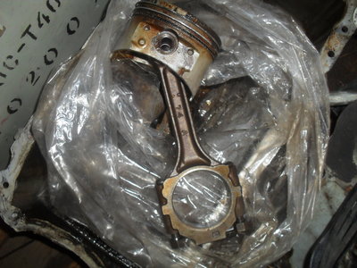 SDC18523.JPG