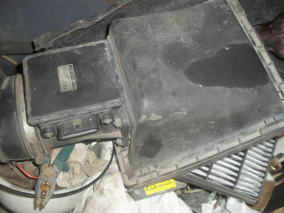 SDC18531.JPG
