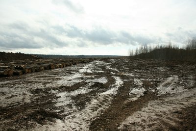 IMG_3385.JPG