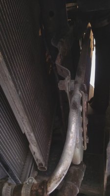 IMAG0397.jpg