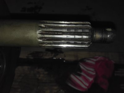 image.jpeg