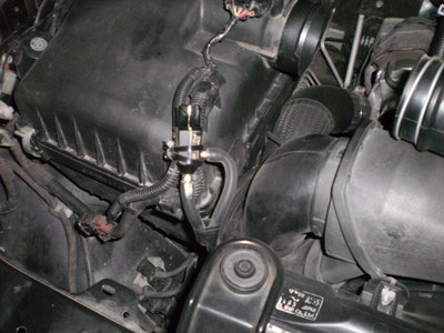PA260187.JPG