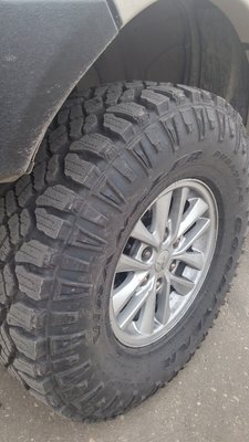 20160409_123753_HDR.jpg