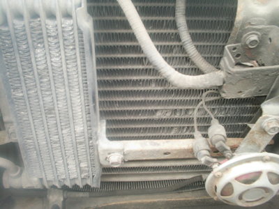 S5020212.JPG