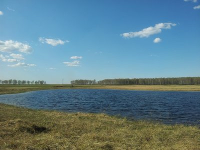 2016-04-26 16.24.36.jpg