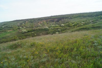 17. Вид с холма.JPG