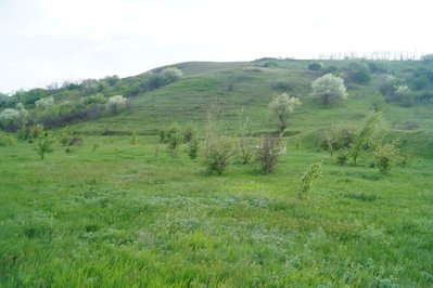 16. Впереди - холм, к нему и ехали.JPG