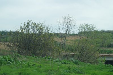 8. Едем на Кутейниково и, через мост, в поля.JPG