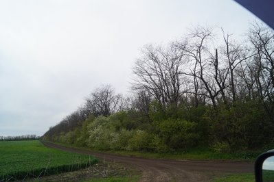 2. С живописной местностью.JPG