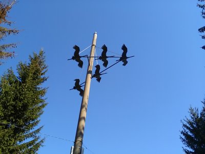 IMG_20160507_091852.jpg