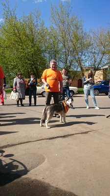 image-a8f2b4366860f30312f3f5ba57f80dda127661414e4a74196174a80b5d242988-V.jpg