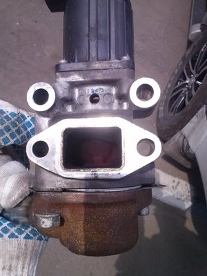 CAM00411.jpg