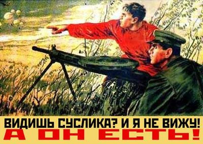 zectss_cont.jpg