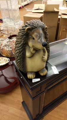IMG-20160517-WA0002.jpeg
