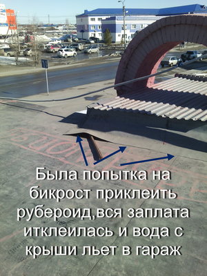 IMG_20160402_085945.jpg