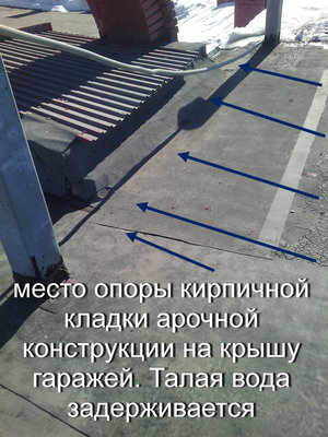 IMG_20160402_090048.jpg