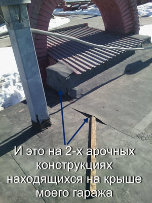 IMG_20160402_090129.jpg
