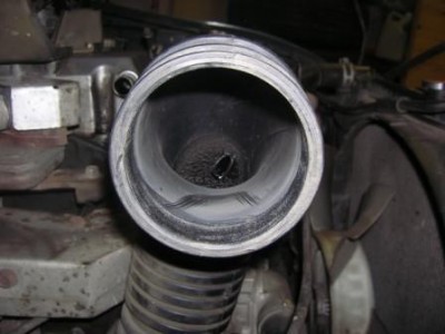 DSCN4721.JPG