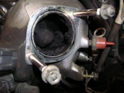 DSCN4723.JPG