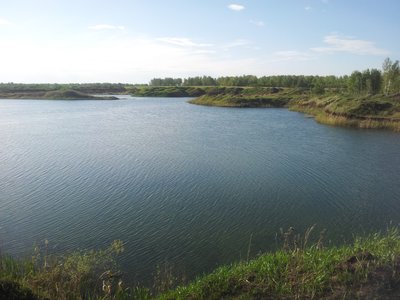 2016-05-19 17.52.18.jpg
