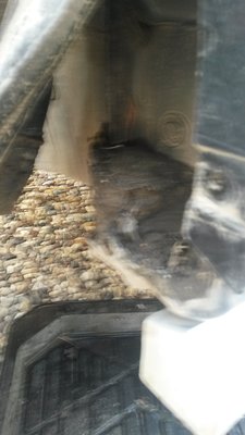 20160523_203102.jpg