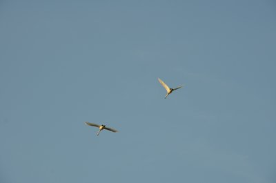 DSC_0018.jpg