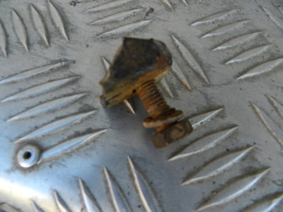 DSCN9392.JPG