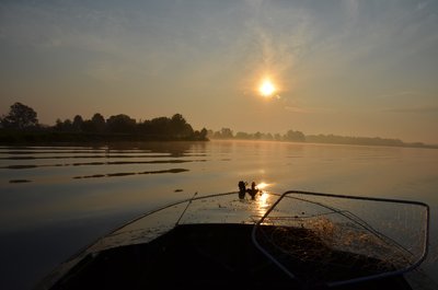 DSC_0015.jpg